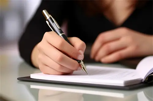 企业纳税分数怎么查